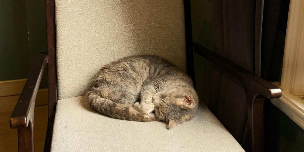 In Defense of the Comfort Zone