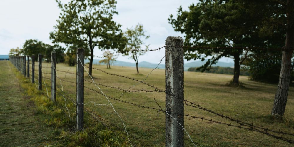 The Barbs and the Wire